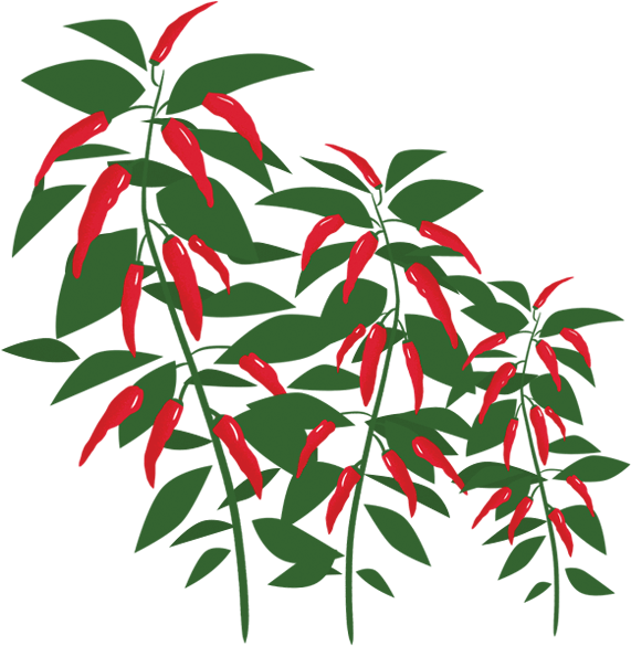 Image Is Not Available - Chilli Peppers Tree Png (600x600), Png Download