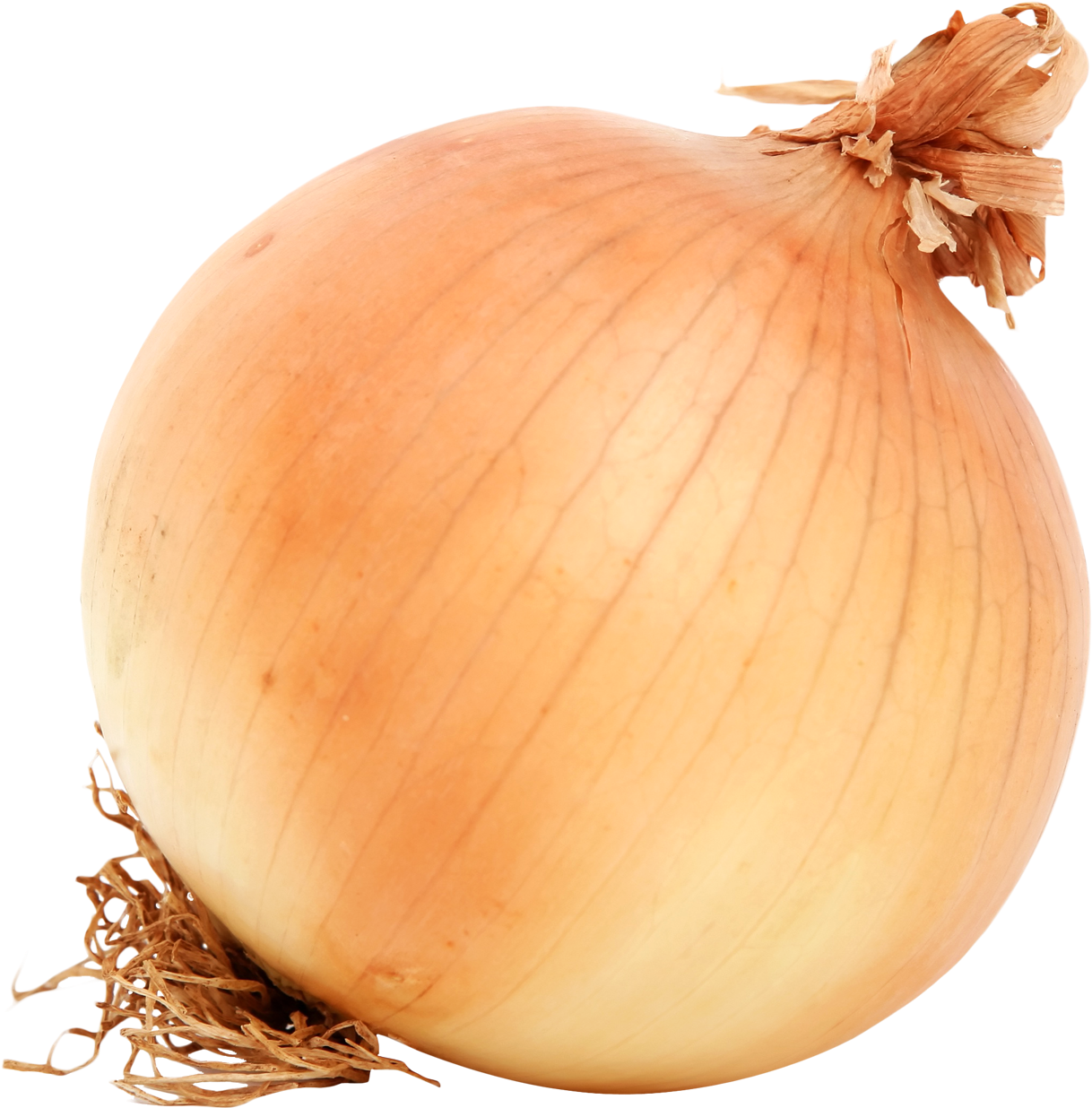 Jpg Brown Onion Png Image - Png Image Of Onion (1265x1299), Png Download