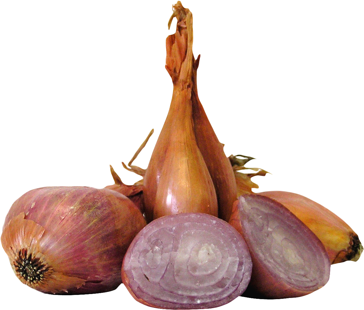 Free Png Shallot Onions Png Images Transparent - Shallot Png (850x704), Png Download