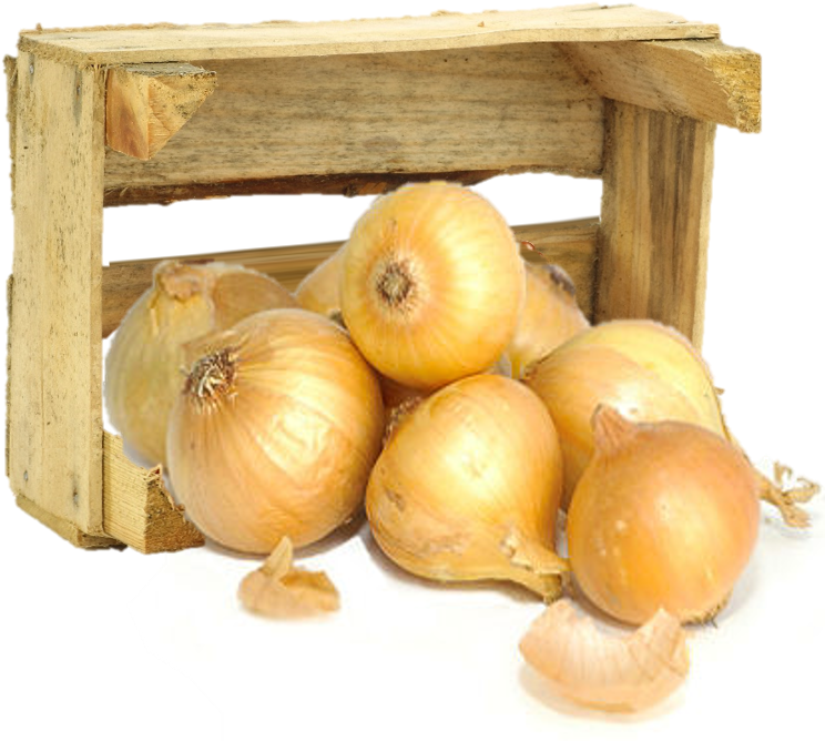 Organic Texas Sweet Onions - Organic Yellow Onions, Bag (750x679), Png Download