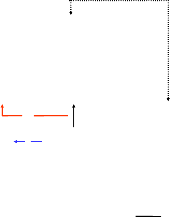 Starfield Circuit - Diagram (779x714), Png Download