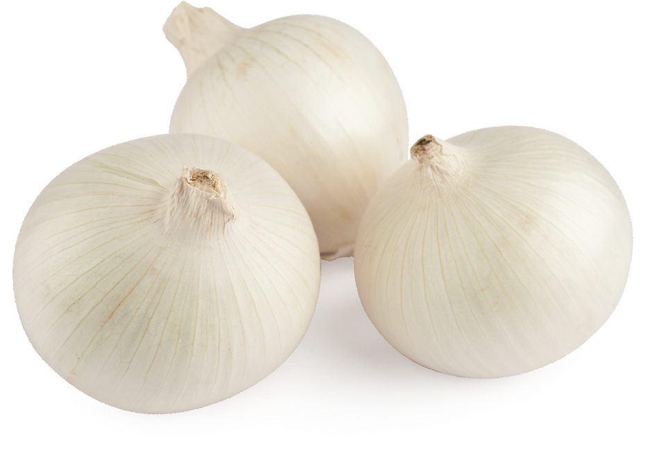 White Onion - Cebolla Blanca Png (1200x823), Png Download