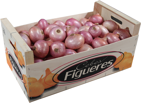 Consuay Figueres Onion Box - Onion In Box (500x365), Png Download.