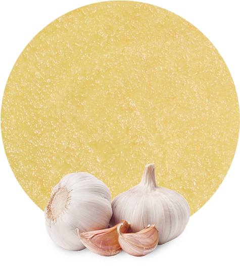 The Garlic Plant Belong To The Allium Genus, As Well - Garlic (536x595), Png Download