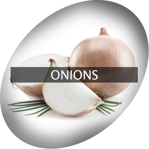 Landingimage Igrow Onions - Onion (480x480), Png Download