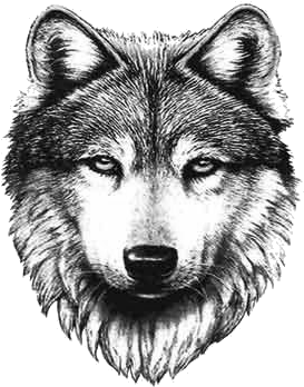 Getting A Wolf Tat Sooooon - Wolf Tattoo (300x400), Png Download