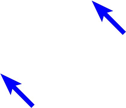 White Blood Cells (1920x1280), Png Download