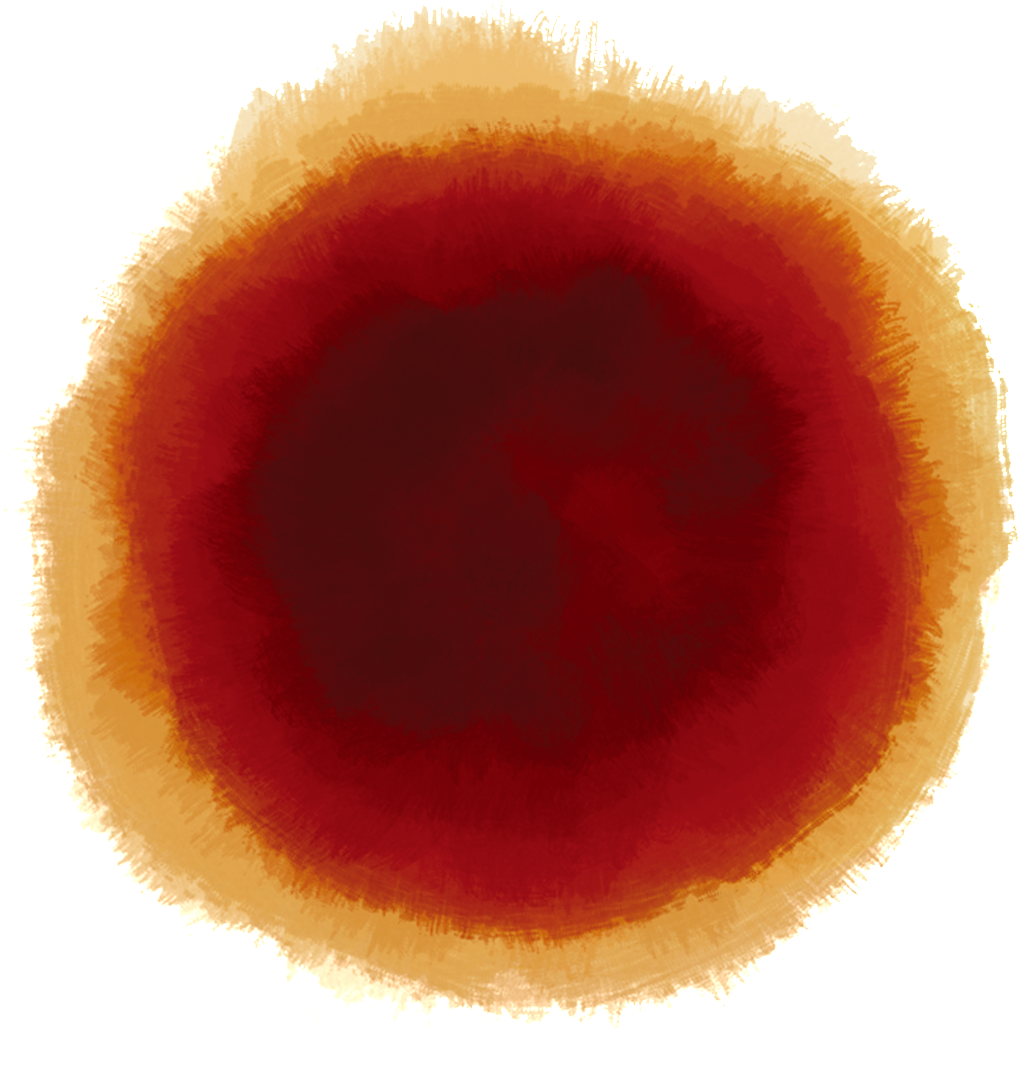 Macro Photography (1024x1068), Png Download