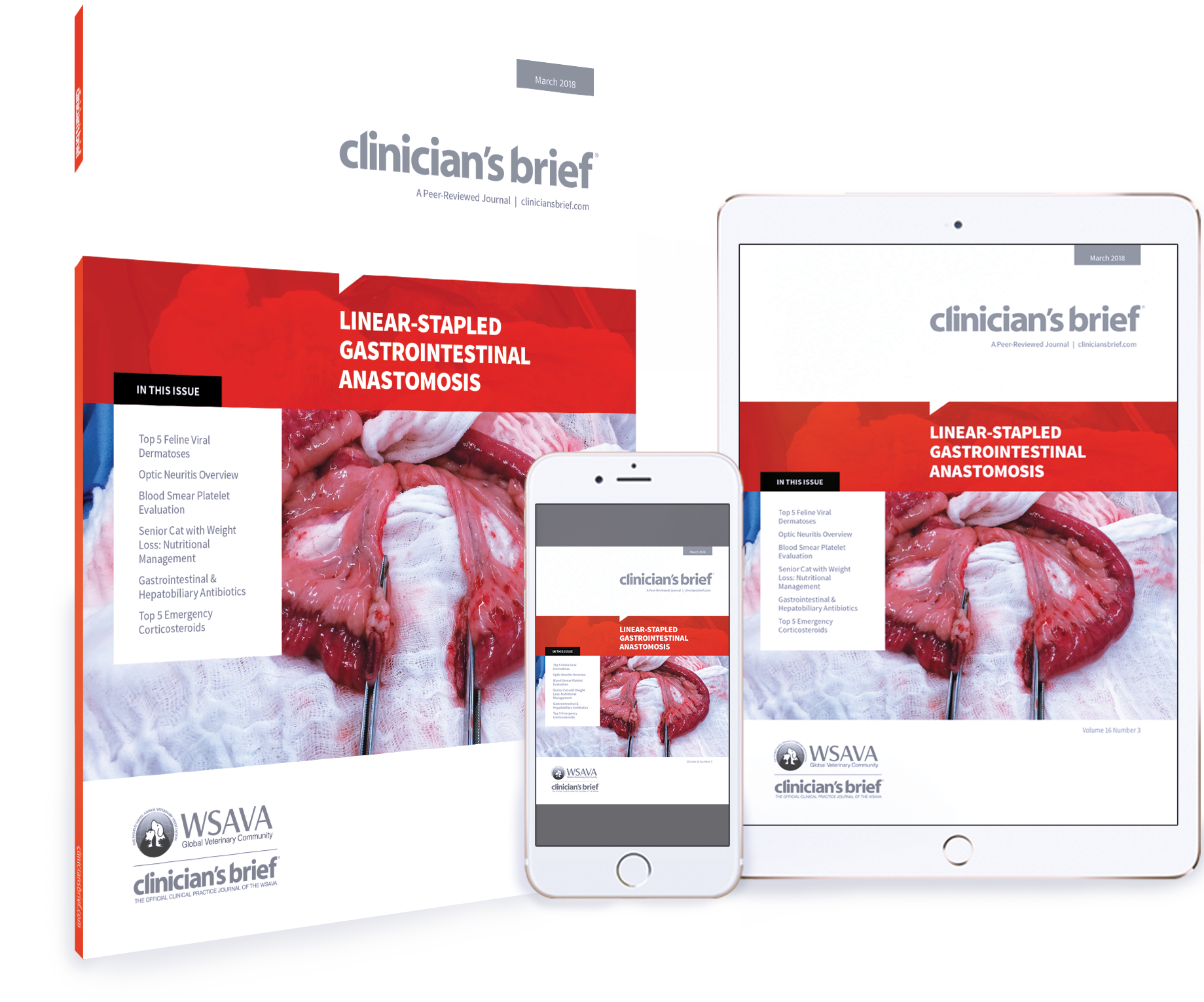 All 2018 Issues - 2018 (1839x1531), Png Download