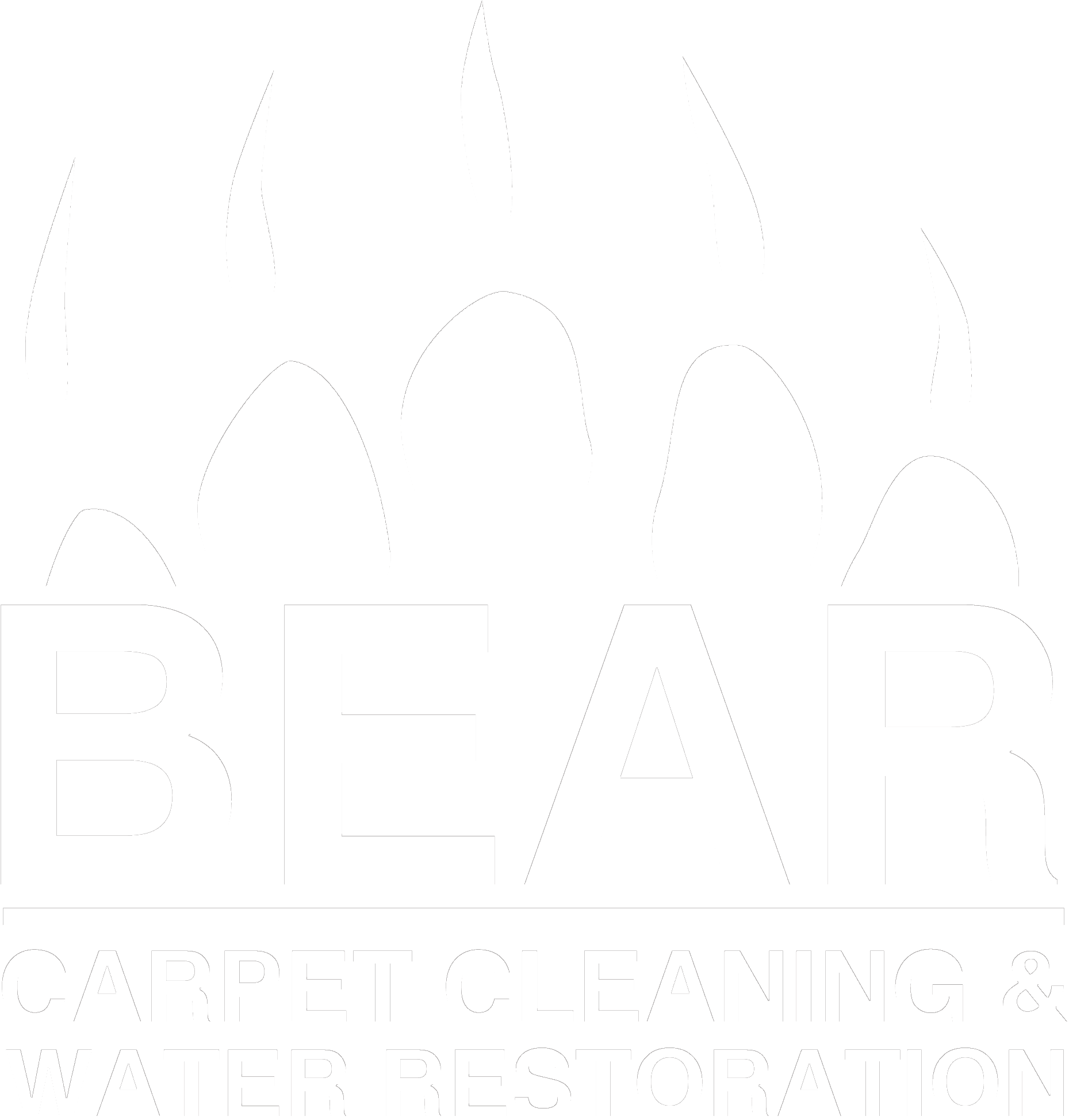 Bear Logo White Trnsp - Optimum Nutrition Pro Bcaa (3000x2400), Png Download