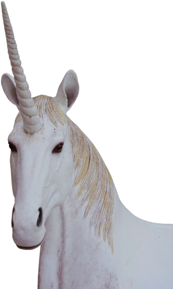 Png,unicorn,animal Magic,fantasy - Unicorn Png (500x666), Png Download