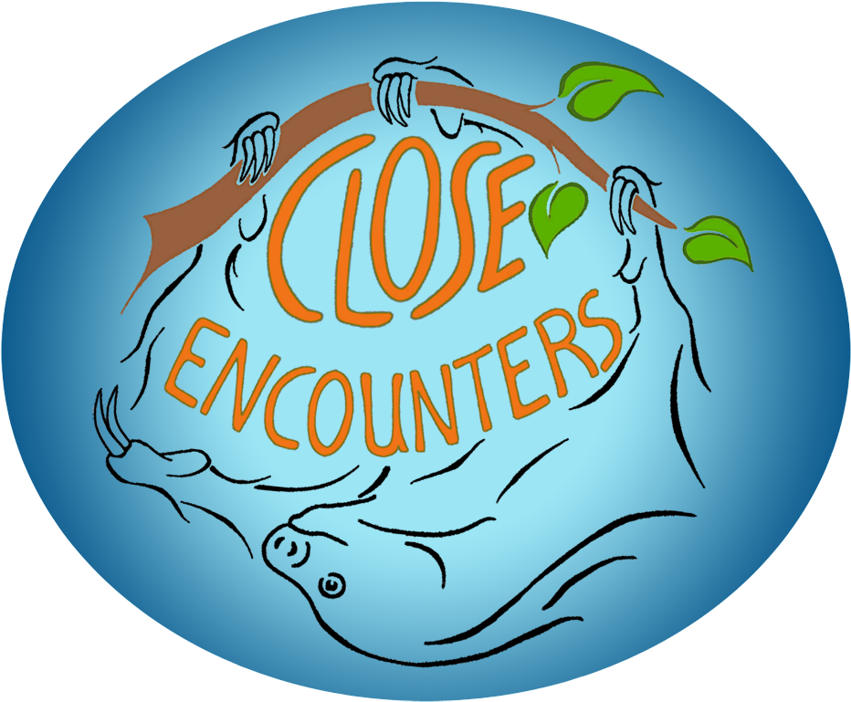 A4fd3572 D6aa 4447 Ab84 4e4f313d8b1c - Portable Network Graphics (1000x861), Png Download