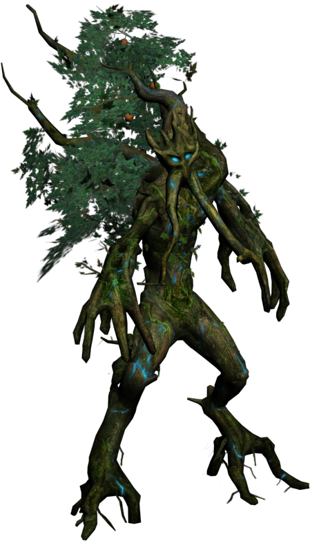 Forest Creature - Western Juniper (1920x1080), Png Download