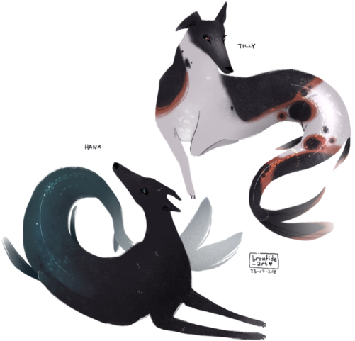 Mermaid Greyhounds Merhounds I've Been Wanting To Draw - Octopus (500x500), Png Download