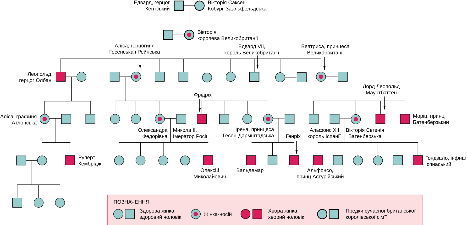 Download Open - Haemophilia Queen Victoria Family Tree PNG ...