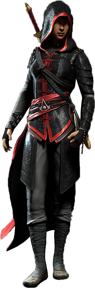 Descendants 2 Halloween Costumes Luxe Shao Jun Assassin - Assassin's Creed Shao Jun (485x1078), Png Download
