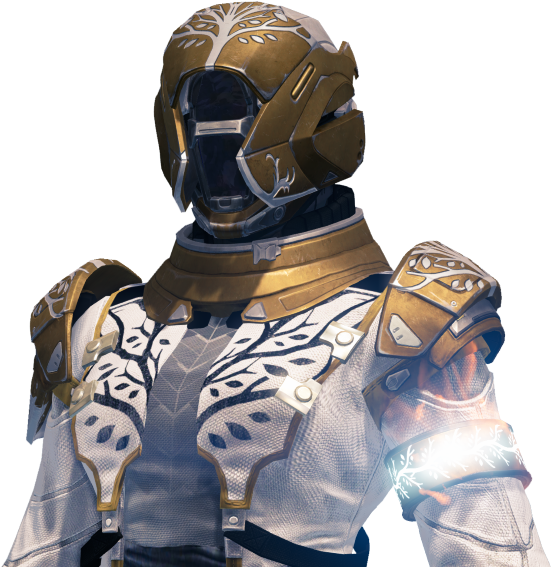 Iron Gear Warlock Banner Destiny - Destiny Iron Regalia Warlock (600x573), Png Download