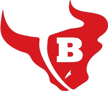 Team's Logo - Bloomingdale Bulls Logo Png (400x400), Png Download