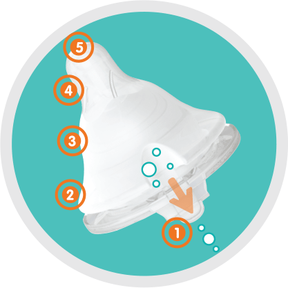 Nipple-features - Portable Network Graphics (417x417), Png Download