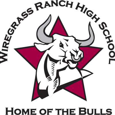 Wiregrass Ranch High School - Wiregrass Ranch High School Mascot (400x398), Png Download