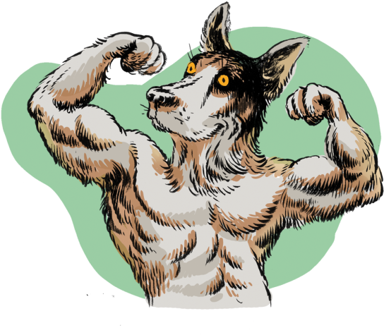 Realfakecrispr11 - Portable Network Graphics (582x582), Png Download