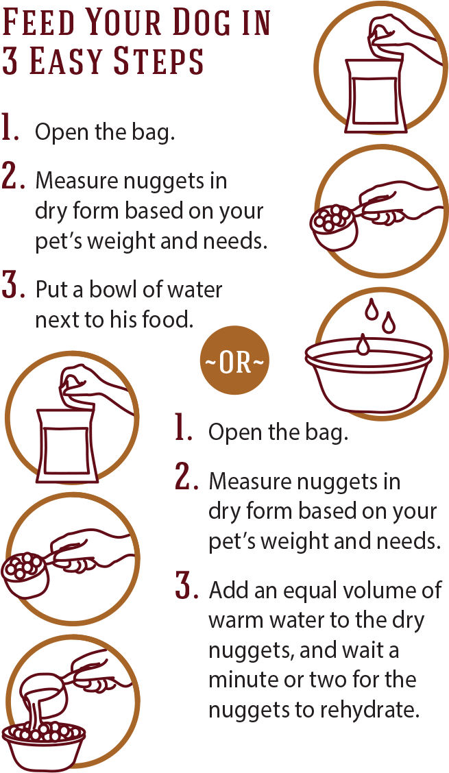 Image Description - Circle (780x1151), Png Download