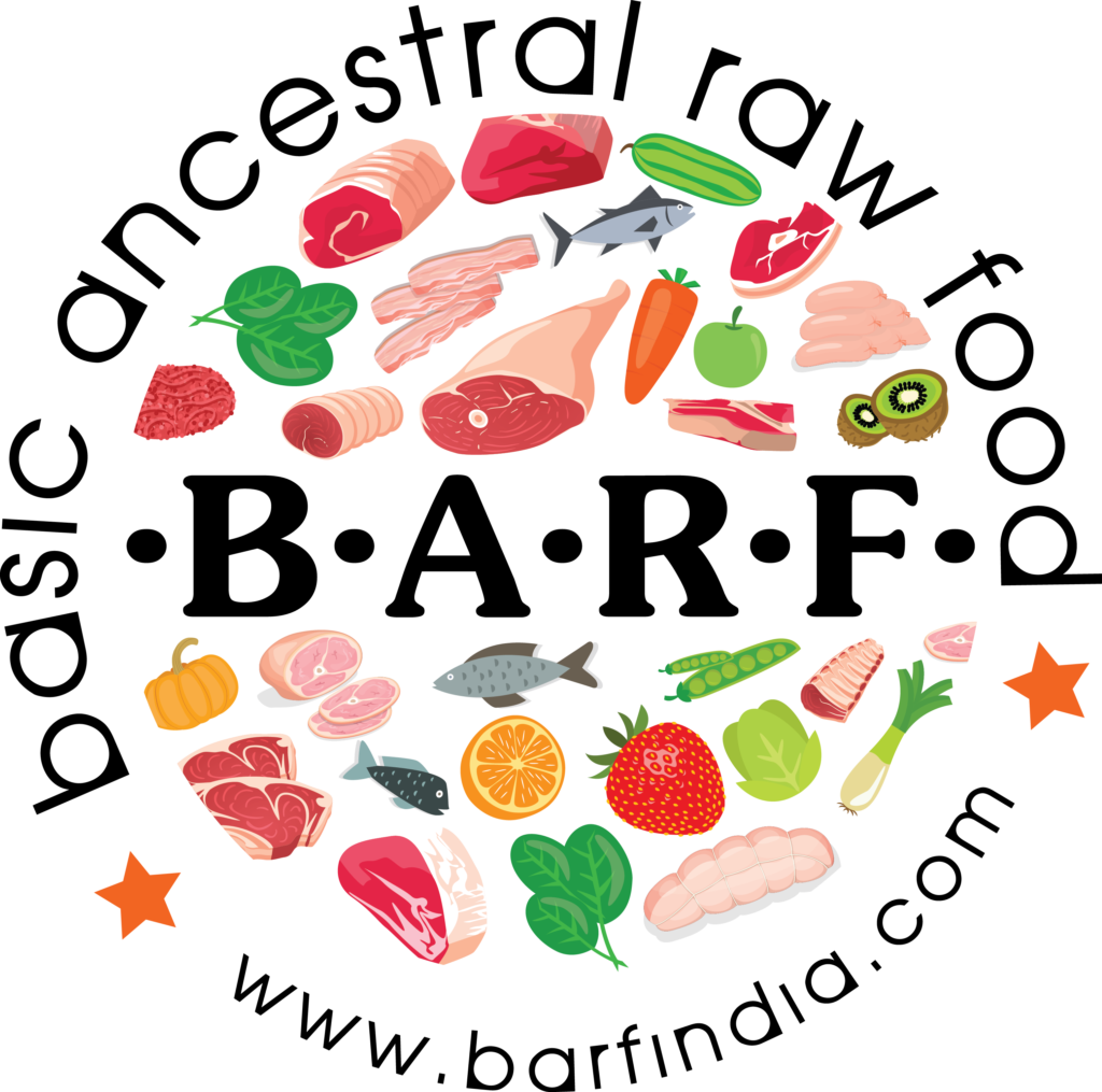Feeding Raw Food For Dogs (1024x1015), Png Download