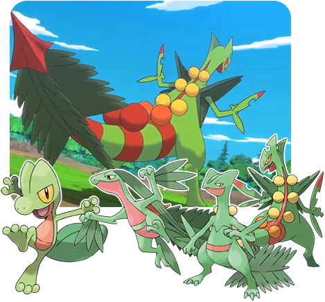 Over The Next Few Weeks We'll Be Revisiting The Starter - Treecko Sun And Moon (476x450), Png Download
