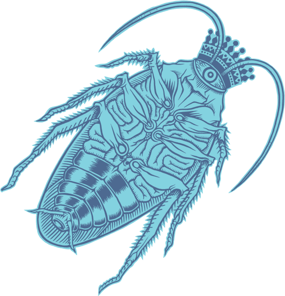 Cockroach (1161x1208), Png Download