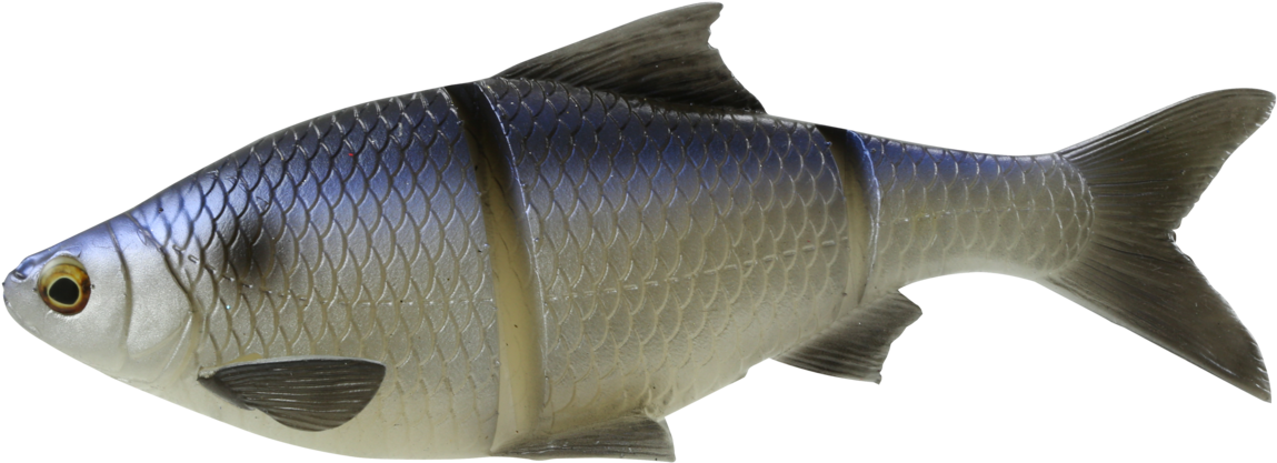 Line Thru Roach - Savage Gear 3d Line-thru Shad Lure - 10in (1321x700), Png Download