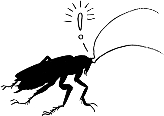 Exciteroach (750x750), Png Download