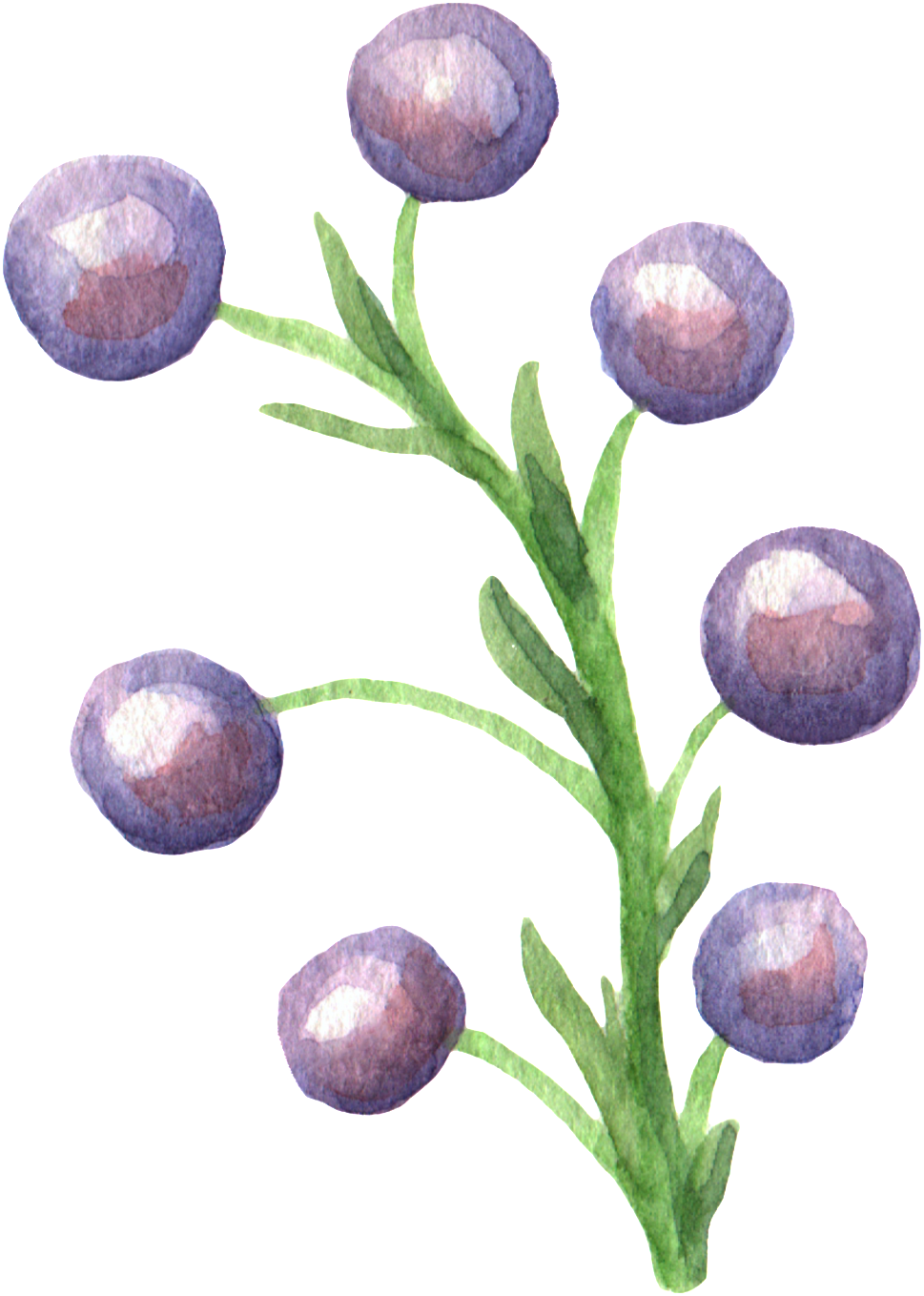 Crystal Leaf Transparent Decorative - Watercolor Painting (1024x1415), Png Download