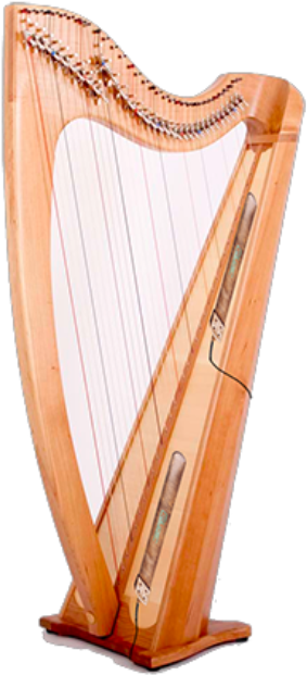 Home About Us Instruments Products Contact - Golden Peakock Overseas Limited (334x661), Png Download