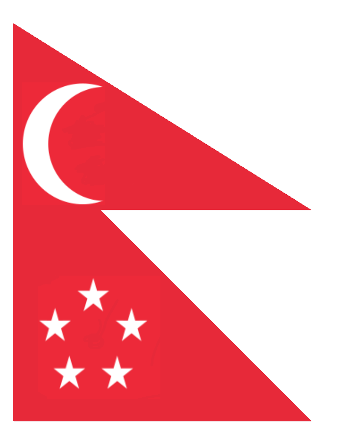 Ocsingapore Flag - Flag (789x885), Png Download