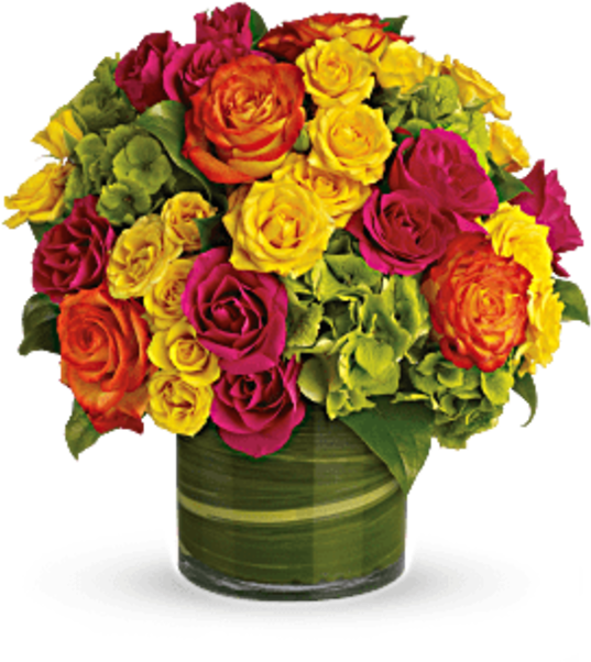 Blooms In Vogue - Blossoms In Vogue Flowers (600x673), Png Download