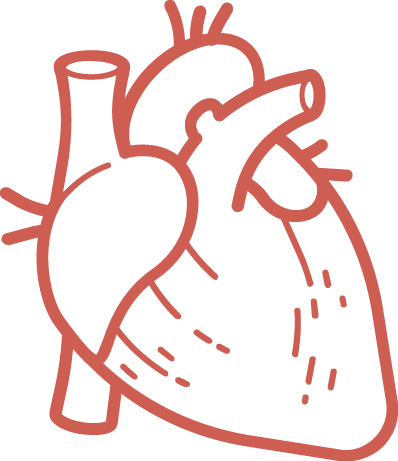 O3, Pm - Organ (398x461), Png Download