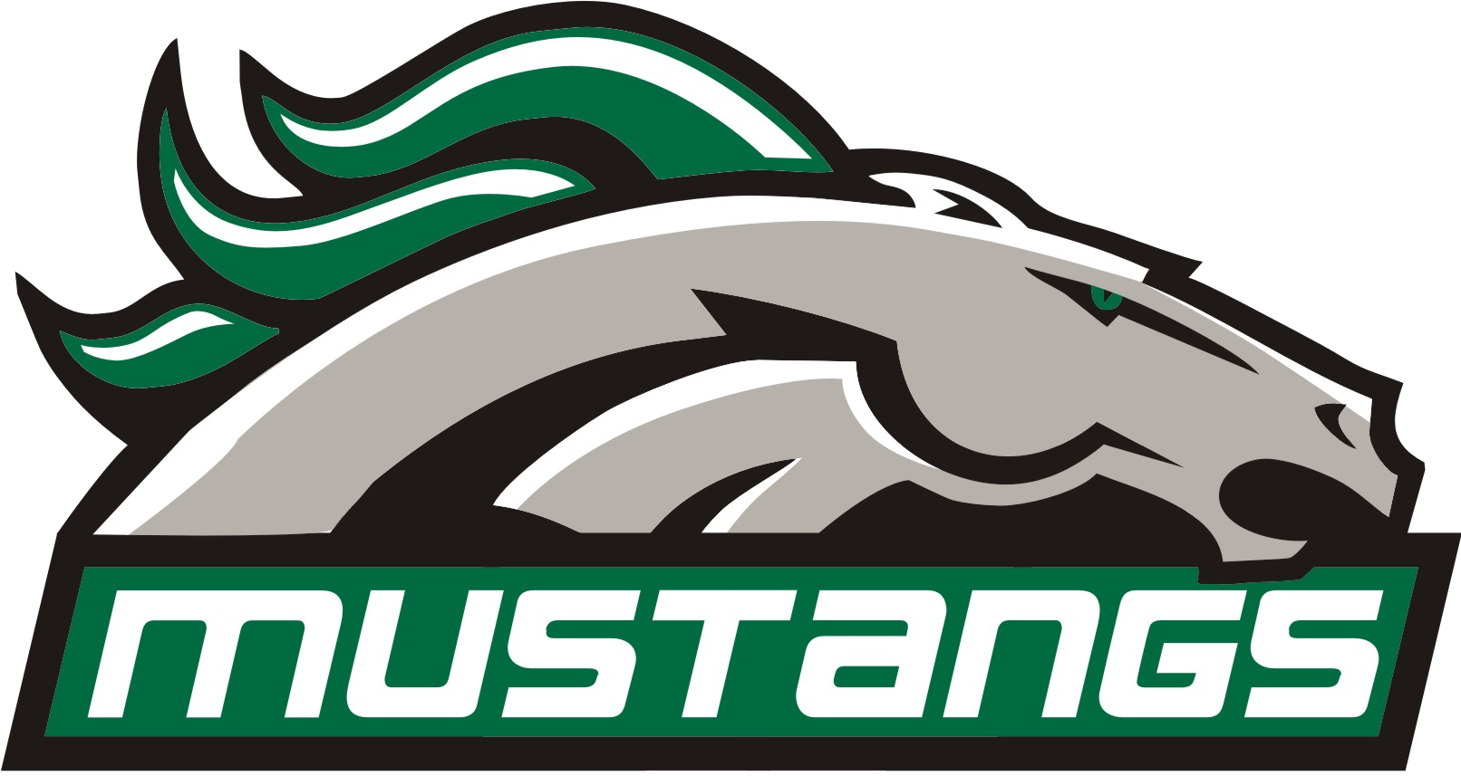 Kennesaw Mountain Mustangs - Austin High School Mustangs (1612x903), Png Download