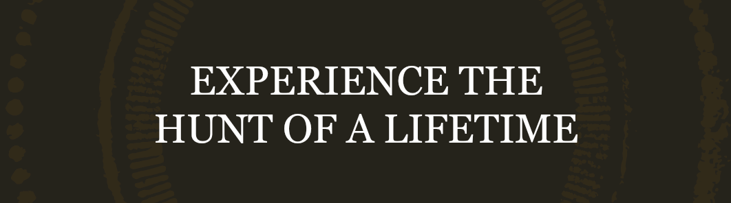 Florida Gator Hunting - Oriole Park At Camden Yards (1062x296), Png Download