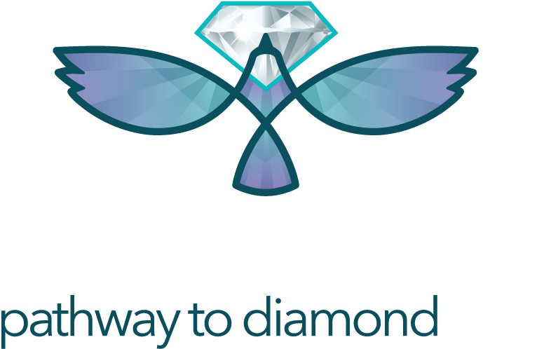 Logo Logo Logo Logo Logo - Syracuse (800x510), Png Download