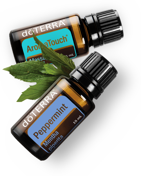 Dōterra Oils - Doterra Cypress Essential Oil - 15 Ml (486x608), Png Download