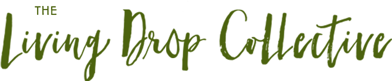 The Living Drop Collective - Drop Collective (790x187), Png Download