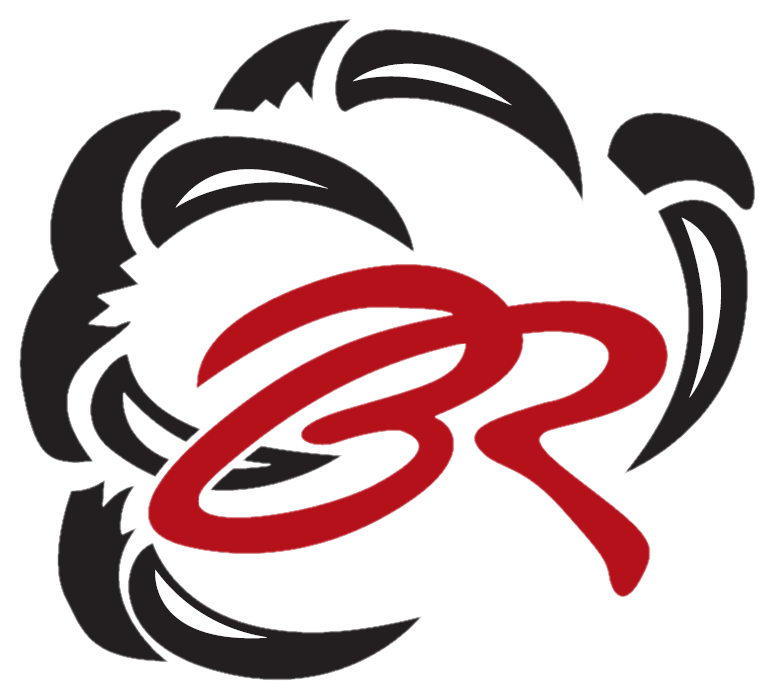 Bear River Bears - Bear River Bears Logo (965x811), Png Download