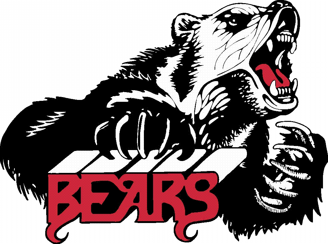Delhi Bears - Juneau Douglas High School (1044x779), Png Download