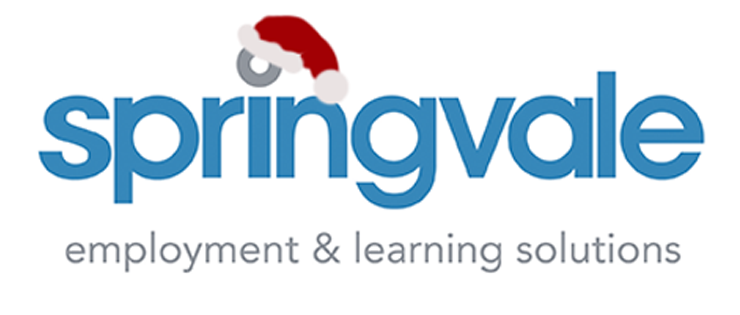 Springvale To Host Christmas Fair » Christmas Logo - Springbok Puzzle Logo (900x450), Png Download