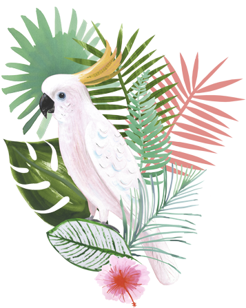 Brief Two Going Gifted By Hallmark - Tropical Image Transparent (500x500), Png Download