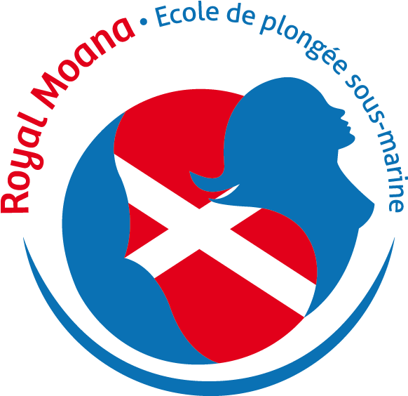 Logo Moana - Moana (709x709), Png Download