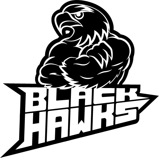 Blackhawks Logo600x600 - Chicago Blackhawks (556x551), Png Download