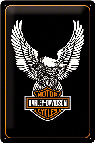 Posters And Signs - Harley Davidson Eagle Logos (600x600), Png Download