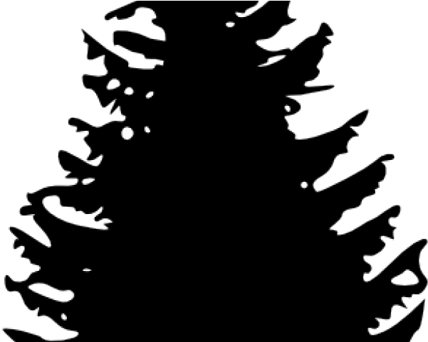 Pinetree Clipart - Pine Tree Silhouette (640x480), Png Download