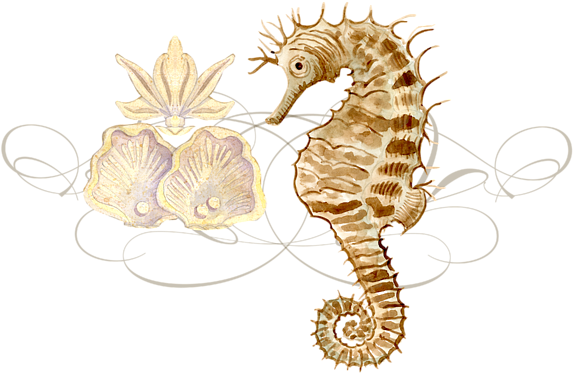 Click And Drag To Re-position The Image, If Desired - Counterart Absorbent Stoneware Car Coaster, Coastal (600x600), Png Download